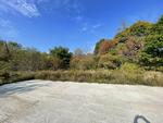 .76+/- Acre Lot Auction Photo