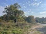 .76+/- Acre Lot Auction Photo