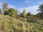 .76+/- Acre Lot Auction Photo