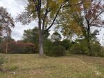 3BR Cape Style Home  1.1+/- Acres Auction Photo