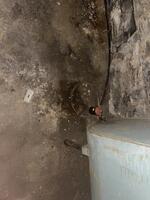 3BR Cape Style Home - .11+/- Acres Auction Photo