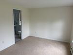 3BR Cape Style Home - Garage Auction Photo
