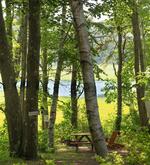 46.25+/- Acre Luxury Camping Resort RE: Sandy Pines Campground Auction Photo