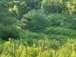 1.52+/-Acres Commercial Lot  Highway Services Zone Auction Photo