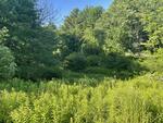1.52+/-Acres Commercial Lot  Highway Services Zone Auction Photo